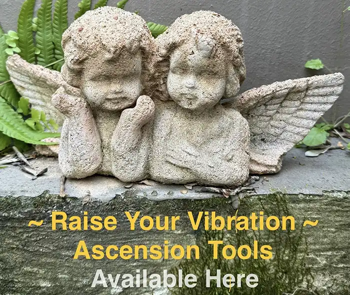 Raise your Vibration